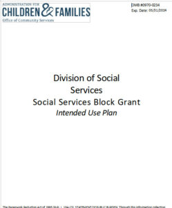 Social Services Block Grant Intended Use Plan FY22